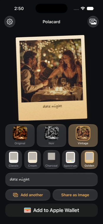 The Polacard editor with film filters and border styles
